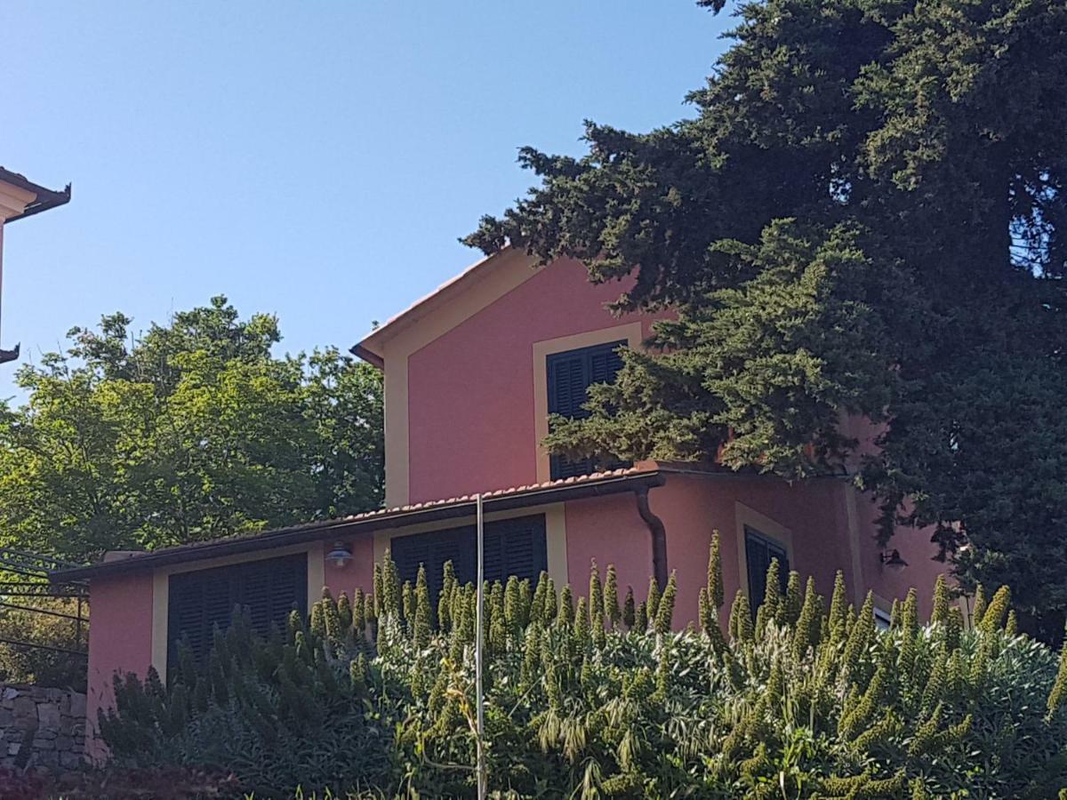 Villa Caterina Imperia Εξωτερικό φωτογραφία